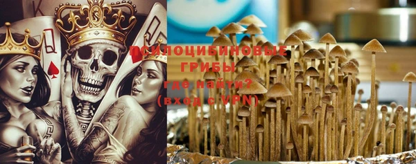 прущие крисы Беломорск