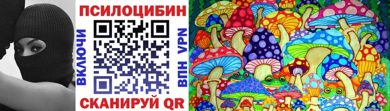 OMG tor  Хабаровск  Псилоцибиновые грибы Psilocybe 